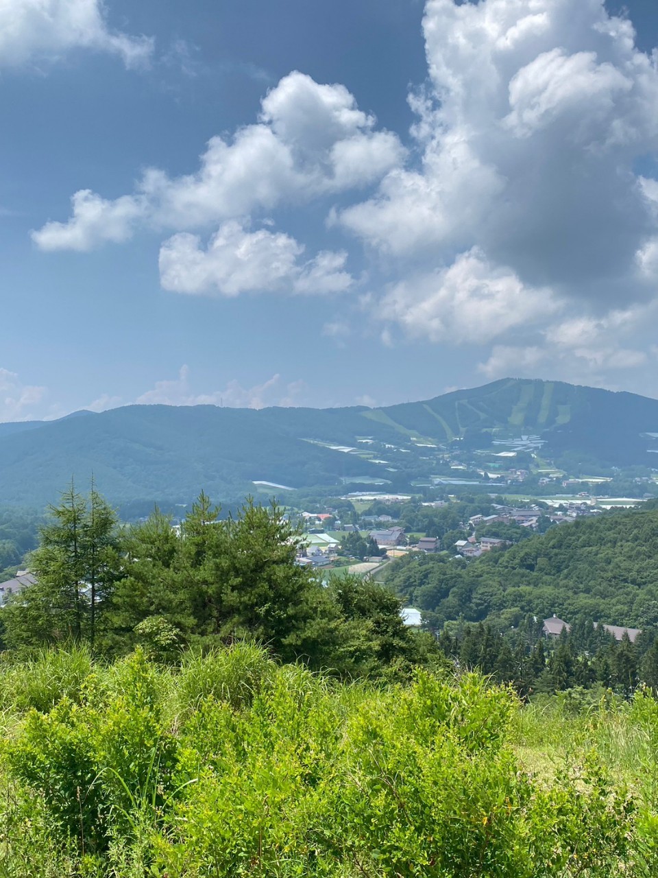 川口ACから夏季強化合宿のご案内